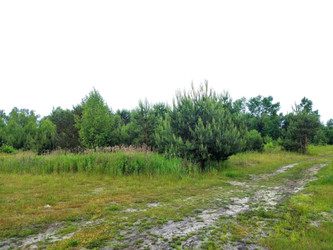 Działka mazowieckie
piaseczyński
Góra Kalwaria
Krzaki Czaplinkowskie Na sprzedaż 220 000 PLN 1200 m2 
