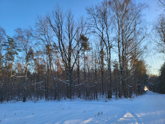 Działka mazowieckie
garwoliński
Sobolew
Sokół Na sprzedaż 64 000 PLN 1420 m2 