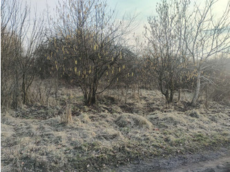 Działka łódzkie
Łódź
Widzew
Stary Widzew Na sprzedaż 200 000 PLN 690 m2 