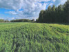 Działka mazowieckie
miński
Jakubów
Brzozówka Na sprzedaż 250 300 PLN 27 588 m2 