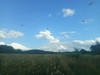 Działka lubelskie
biłgorajski
Józefów
Czarny Las Na sprzedaż 330 000 PLN 26 058 m2 