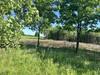 Działka łódzkie
pabianicki
Dłutów
Dłutów Na sprzedaż 2 680 341 PLN 34 958 m2 