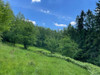Działka śląskie
cieszyński
Wisła Na sprzedaż 320 000 PLN 2882 m2 