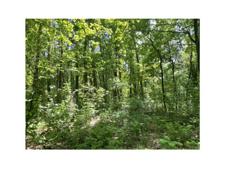 Działka świętokrzyskie
sandomierski
Łoniów
Skwirzowa Na sprzedaż 39 000 PLN 16 700 m2 