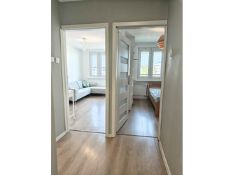 Mieszkanie śląskie
Katowice
Koszutka Do wynajęcia 2550 PLN 33 m2 