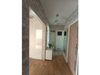 Mieszkanie wielkopolskie
Poznań
Rataje Do wynajęcia 2200 PLN 47 m2 