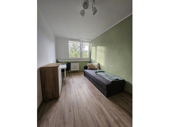 Pokój dolnośląskie
Wrocław Do wynajęcia 1350 PLN 