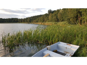 Działka wielkopolskie
Poznań
Gniezno Na sprzedaż 189 000 PLN 1260 m2 