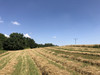 Działka lubelskie
puławski
Wąwolnica
Rąblów Na sprzedaż 690 000 PLN 14 128 m2 