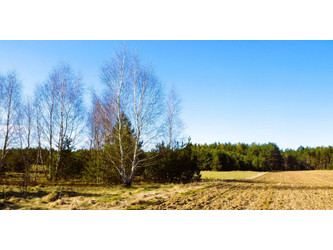 Działka pomorskie
kościerski
Stara Kiszewa
Lipy Na sprzedaż 108 775 PLN 1150 m2 