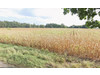 Działka mazowieckie
grodziski
Baranów
Kaski Centralne Na sprzedaż 600 000 PLN 5000 m2 