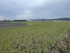 Działka pomorskie
pucki
Kosakowo
Dębogórze-Wybudowanie Na sprzedaż 4 800 000 PLN 41 200 m2 