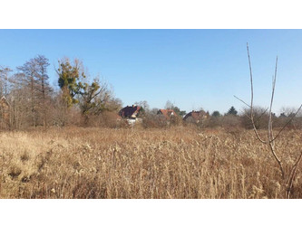 Działka dolnośląskie
Wrocław Do wynajęcia 200 PLN 2000 m2 