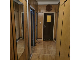 Mieszkanie mazowieckie
Radom
Obozisko Do wynajęcia 1500 PLN 50,75 m2 