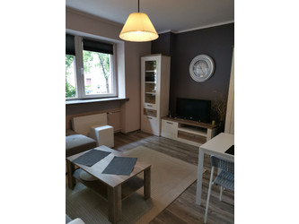 Mieszkanie dolnośląskie
Wrocław
Stare Miasto Do wynajęcia 1900 PLN 23 m2 