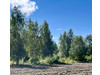 Działka łódzkie
łowicki
Nieborów
Bełchów Na sprzedaż 169 000 PLN 2606 m2 
