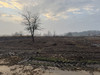 Działka dolnośląskie
trzebnicki
Wisznia Mała
Ozorowice Na sprzedaż 407 000 PLN 1850 m2 