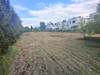 Działka mazowieckie
warszawski zachodni
Ożarów Mazowiecki
Bronisze Na sprzedaż 1 670 400 PLN 1856 m2 