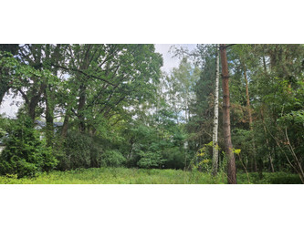Działka mazowieckie
grodziski
Milanówek Na sprzedaż 650 000 PLN 1000 m2 