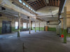 Magazyn warmińsko-mazurskie
Olsztyn
Podgrodzie Do wynajęcia 6670 PLN 290 m2 