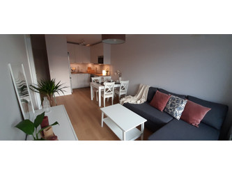 Mieszkanie dolnośląskie
Wrocław Do wynajęcia 2600 PLN 37 m2 