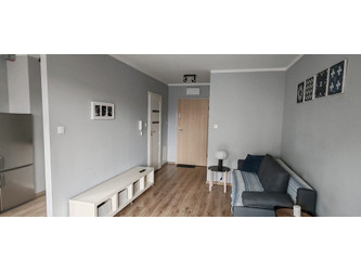 Mieszkanie małopolskie
Kraków
Prądnik Biały Do wynajęcia 2100 PLN 30 m2 