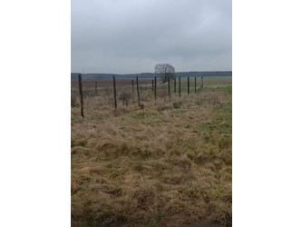 Działka dolnośląskie
oleśnicki
Syców
Syców Na sprzedaż 150 000 PLN 965 m2 