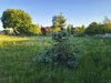 Działka warmińsko-mazurskie
olsztyński
Gietrzwałd
Sząbruk Na sprzedaż 295 000 PLN 1482 m2 