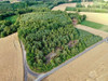 Działka wielkopolskie
koniński
Grodziec
Czarnybród Na sprzedaż 69 000 PLN 1200 m2 