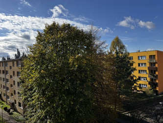 Mieszkanie śląskie
pszczyński
Pszczyna
Pszczyna Na sprzedaż 312 000 PLN 37 m2 