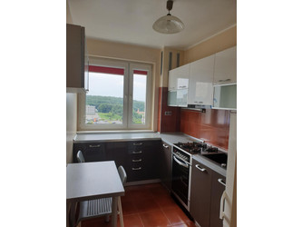 Mieszkanie pomorskie
Gdańsk
Piecki-Migowo Do wynajęcia 2700 PLN 45 m2 