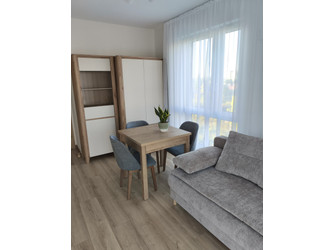 Mieszkanie wielkopolskie
Poznań Do wynajęcia 3000 PLN 38,16 m2 