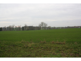 Działka warmińsko-mazurskie
iławski
Lubawa
Targowisko Dolne Na sprzedaż 132 000 PLN 500 m2 