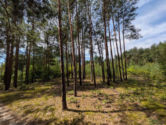 Działka podkarpackie
mielecki
Wadowice Górne
Grzybów Na sprzedaż 470 000 PLN 4700 m2 