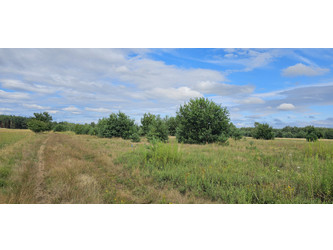 Działka mazowieckie
miński
Dobre
Sołki Na sprzedaż 112 000 PLN 1177 m2 