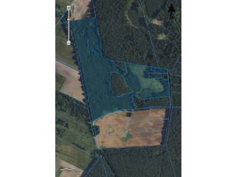 Działka lubuskie
strzelecko-drezdenecki
Dobiegniew
Radęcin Na sprzedaż 968 000 PLN 179 495 m2 