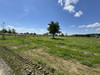 Działka dolnośląskie
trzebnicki
Wisznia Mała
Ozorowice Na sprzedaż 407 000 PLN 1850 m2 