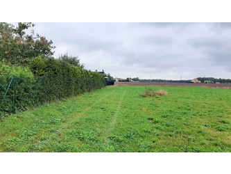 Działka pomorskie
kartuski
Somonino
Borcz Na sprzedaż 185 000 PLN 1000 m2 