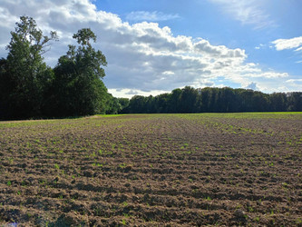 Działka kujawsko-pomorskie
Włocławek
Zawiśle Na sprzedaż 224 000 PLN 1520 m2 