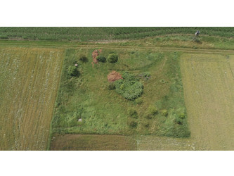 Działka opolskie
strzelecki
Strzelce Opolskie
Ligota Dolna Na sprzedaż 166 000 PLN 2552 m2 