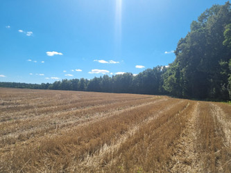 Działka pomorskie
kwidzyński
Kwidzyn
Dankowo Na sprzedaż 180 000 PLN 1200 m2 