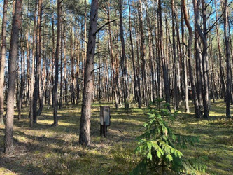 Działka mazowieckie
garwoliński
Wilga
Nowy Żabieniec Na sprzedaż 42 250 PLN 1565 m2 