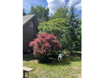 Działka mazowieckie
wołomiński
Radzymin
Arciechów Na sprzedaż 500 000 PLN 1250 m2 