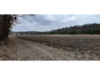 Działka lubelskie
puławski
Kazimierz Dolny
Kazimierz Dolny Na sprzedaż 240 000 PLN 2180 m2 