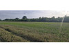 Działka mazowieckie
grodziski
Żabia Wola
Bartoszówka Na sprzedaż 220 000 PLN 1358 m2 