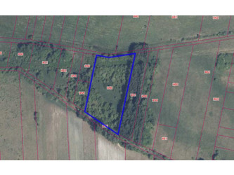 Działka świętokrzyskie
konecki
Końskie
Bedlenko Na sprzedaż 3767 PLN 500 m2 