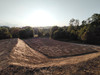 Działka małopolskie
tarnowski
Tuchów
Zabłędza Na sprzedaż 90 720 PLN 1296 m2 