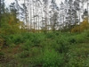 Działka mazowieckie
ostrowski
Ostrów Mazowiecka Na sprzedaż 200 000 PLN 1119 m2 