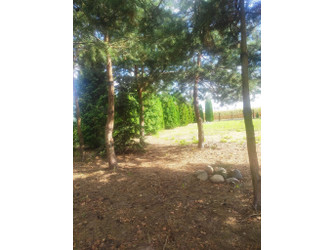 Działka łódzkie
zgierski
Zgierz Na sprzedaż 100 000 PLN 1000 m2 