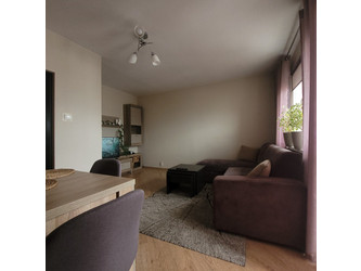 Mieszkanie łódzkie
Łódź
Bałuty
Radogoszcz Na sprzedaż 429 000 PLN 44,5 m2 